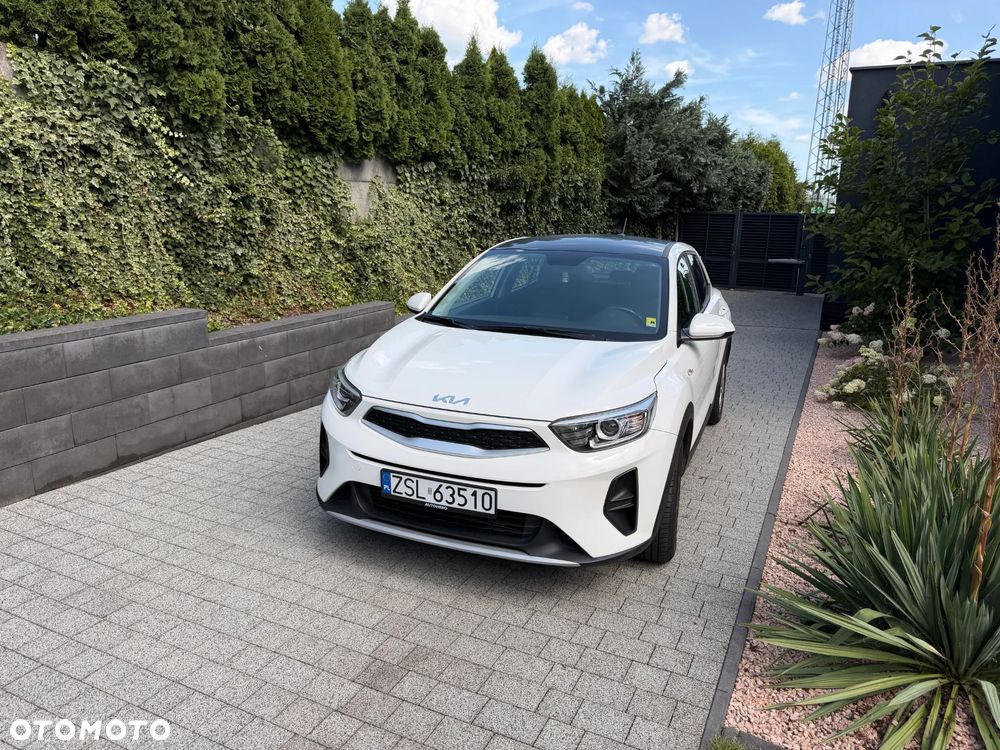 Kia Stonic 1.2 L - 1