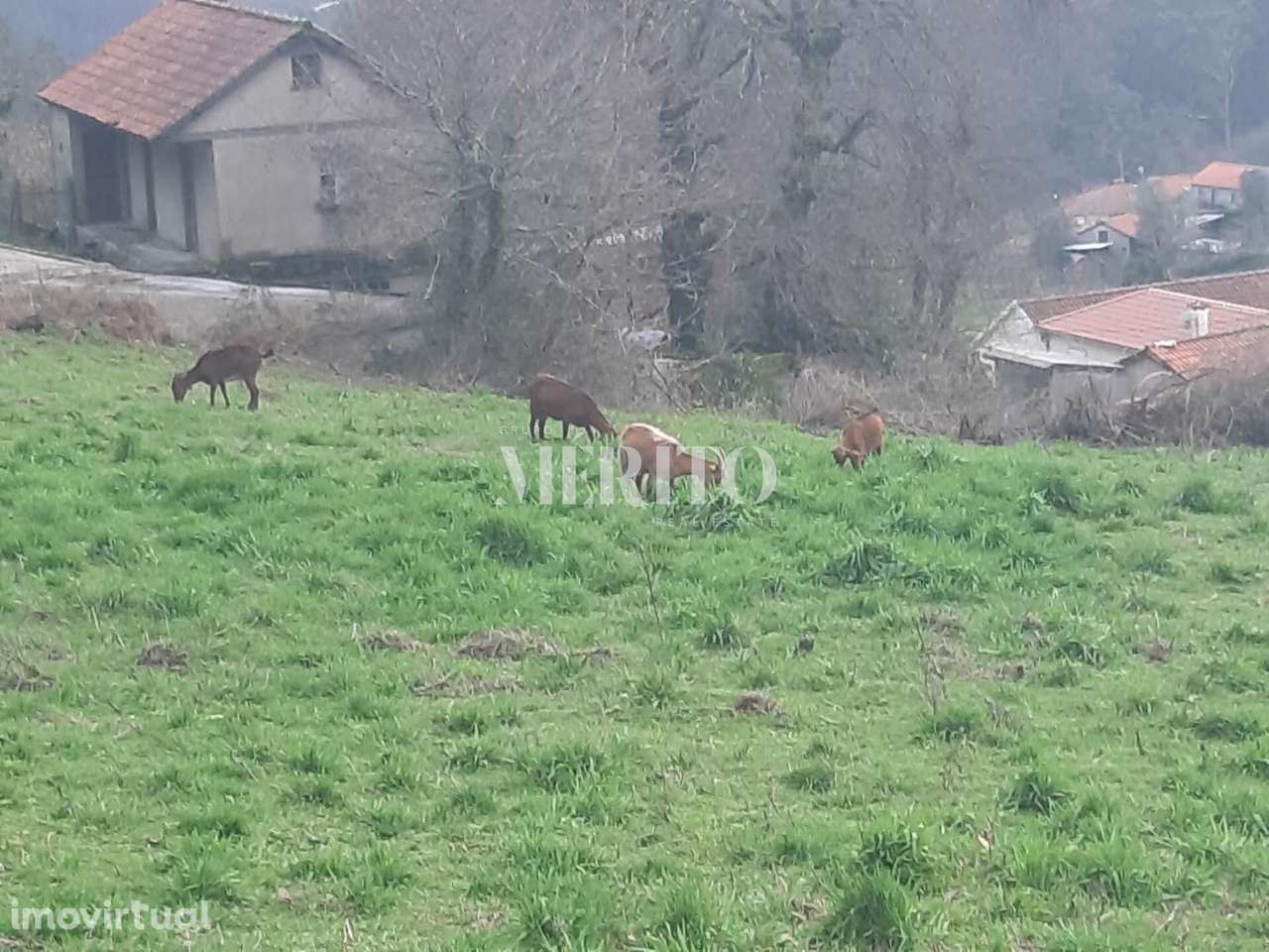 Terreno com Viabilidade Construtiva - Grande imagem: 3/29