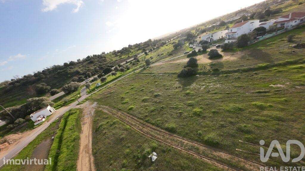 Terreno Agrícola em Ferreiras - Grande imagem: 4/14