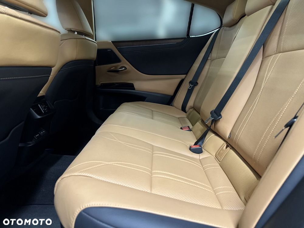 Lexus ES 300h Prestige - 12
