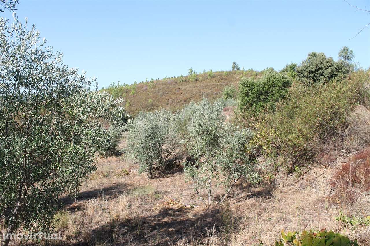 Terreno - Grande imagem: 3/12