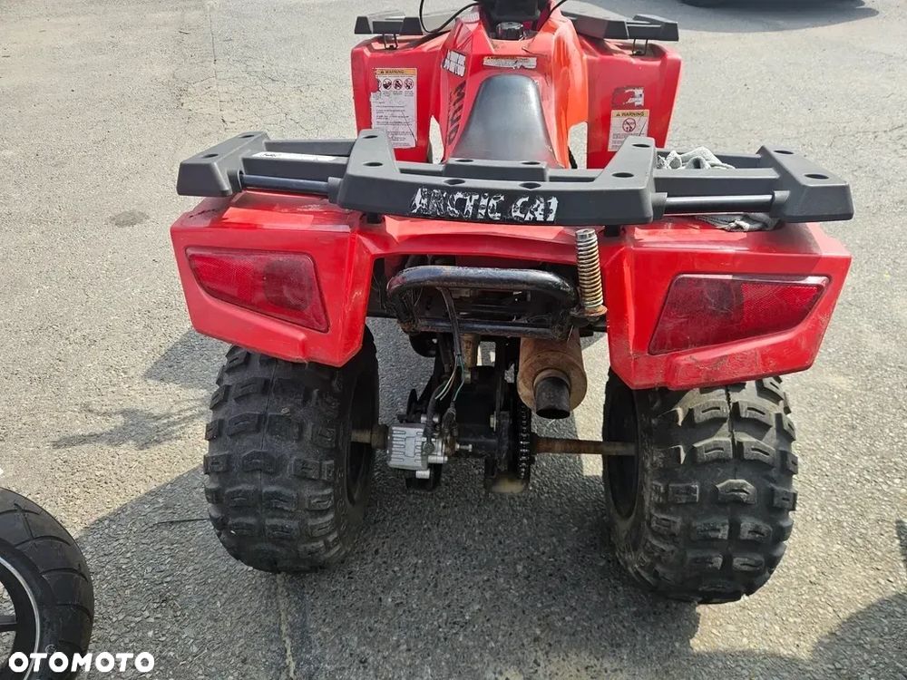 Arctic Cat Inny