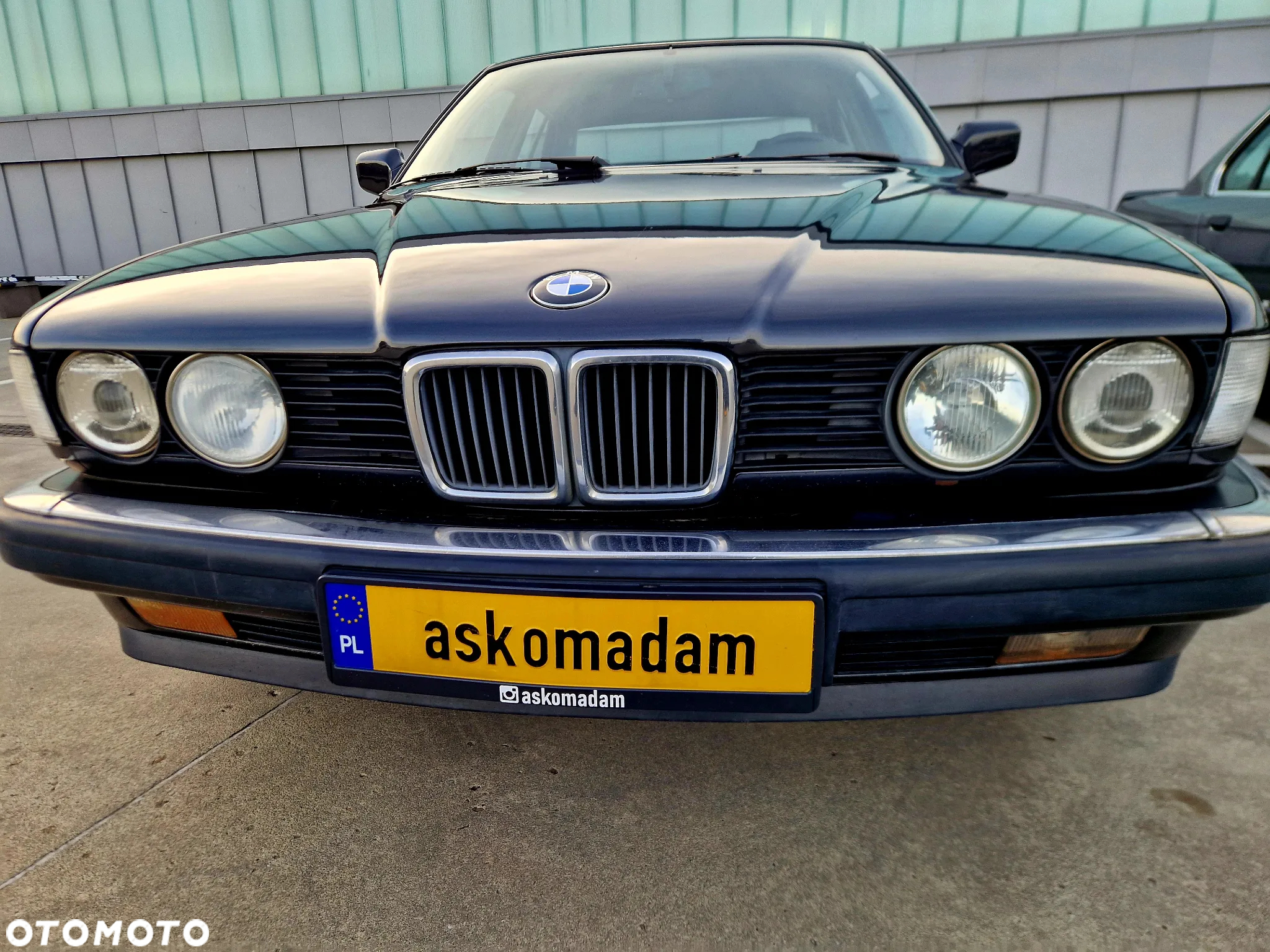 BMW Seria 7 - 30
