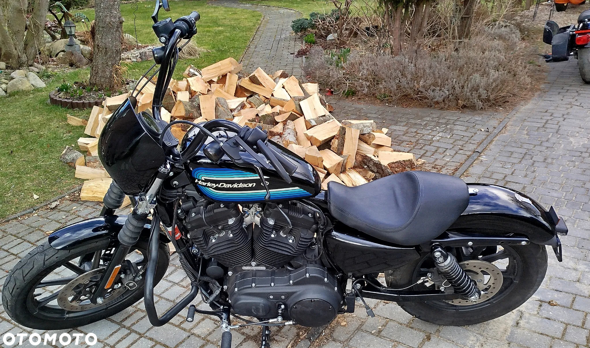 Harley-Davidson Sportster Iron 1200 - 24