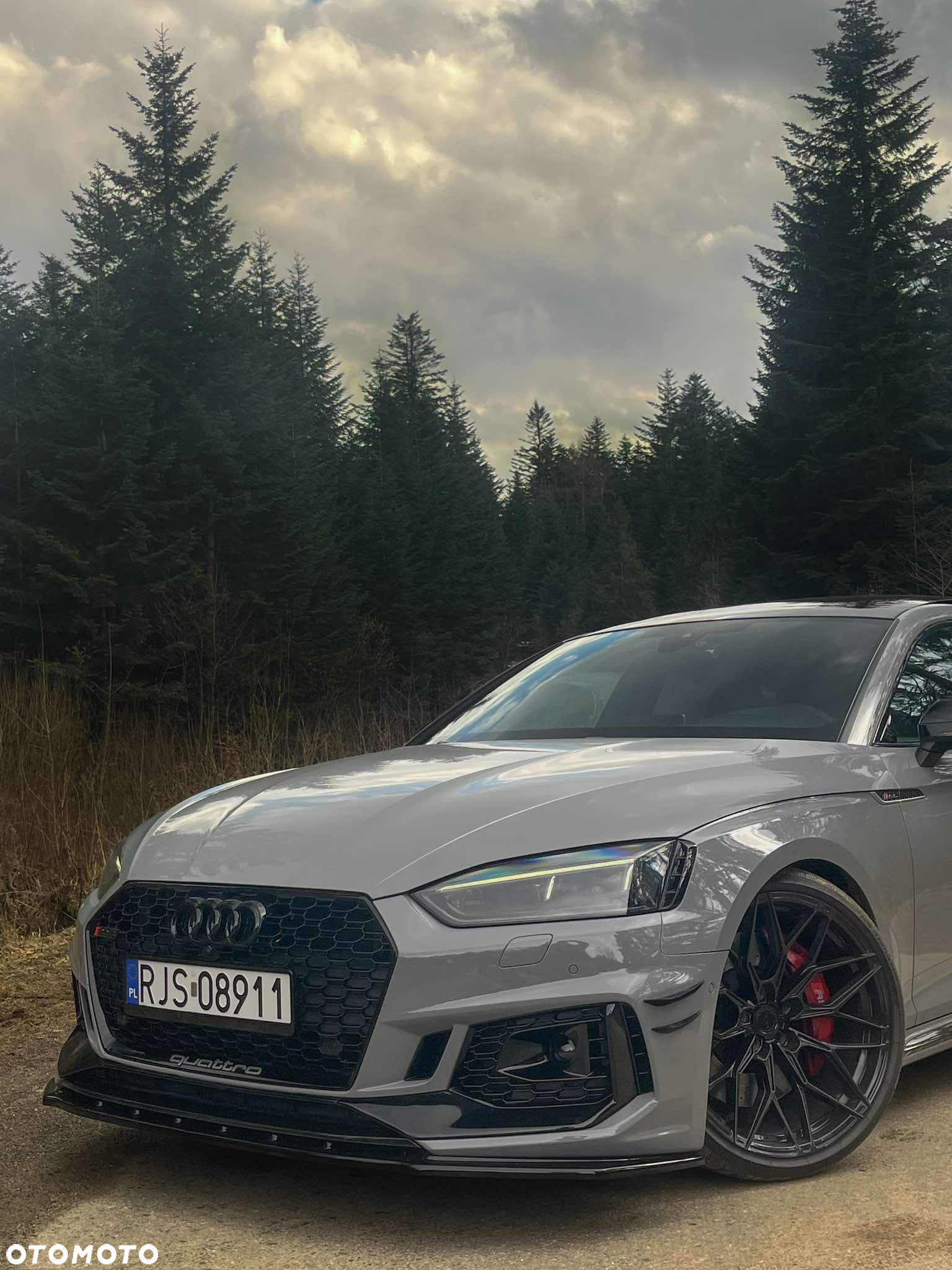 Audi RS5 Sportback 2.9 TFSI quattro tiptronic - 35