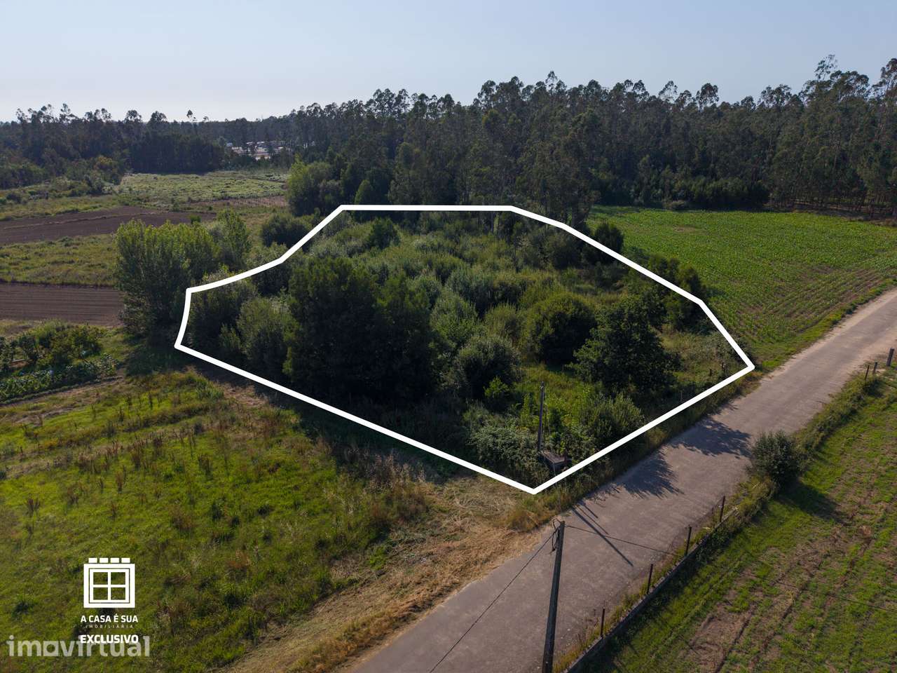 Terreno agrícola com 6.050 m² em Arada, Ovar - Exclusivo - Grande imagem: 2/23