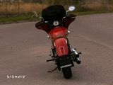 Indian Scout - 7