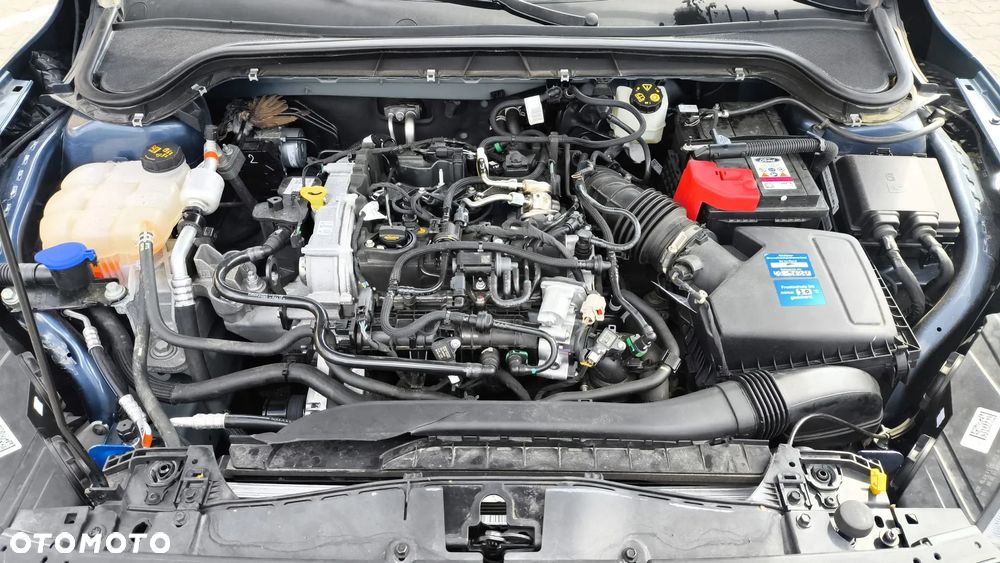 Ford Focus - 17