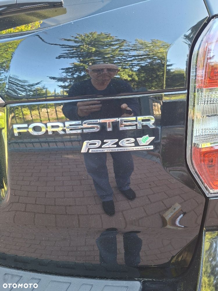 Subaru Forester - 19