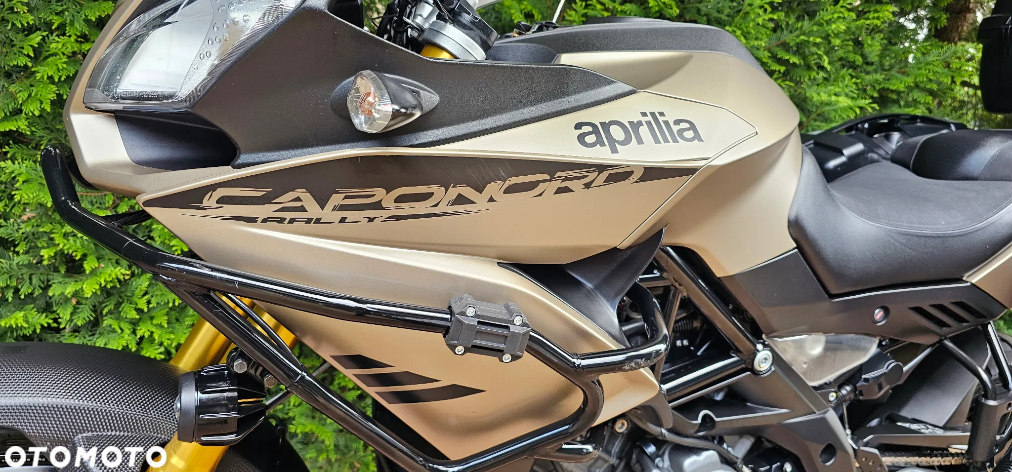 Aprilia Caponord - 15