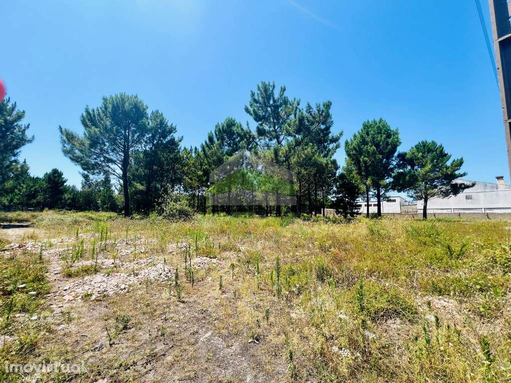 Terreno com 6.247 m2 para construção - Grande imagem: 3/4