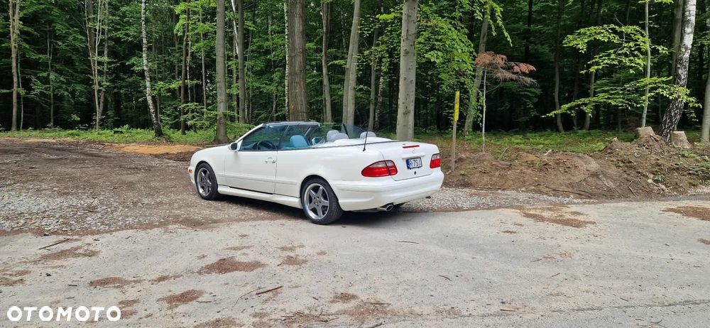 Mercedes-Benz CLK 430 - 15