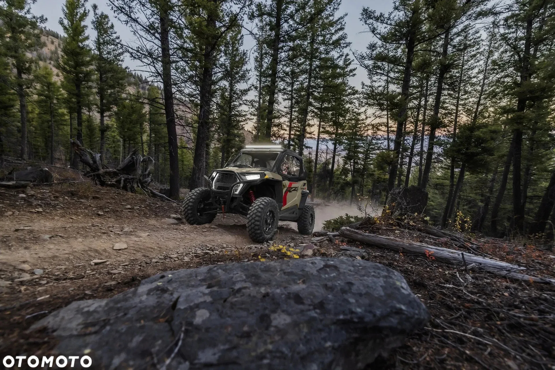 Polaris RZR - 10