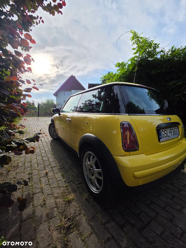 MINI ONE salt - 4