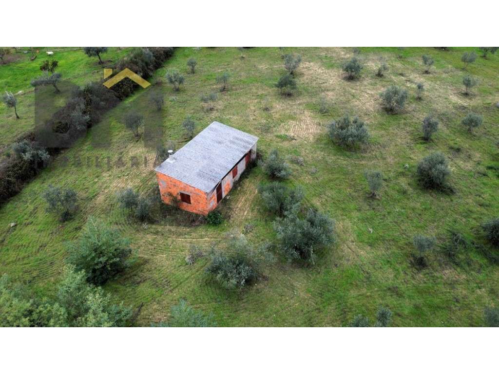 Quinta à venda em São Miguel de Acha! - Grande imagem: 2/17