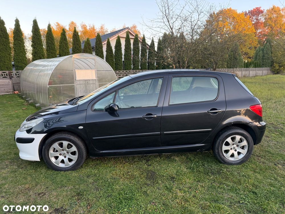 Peugeot 307 1.6 - 11