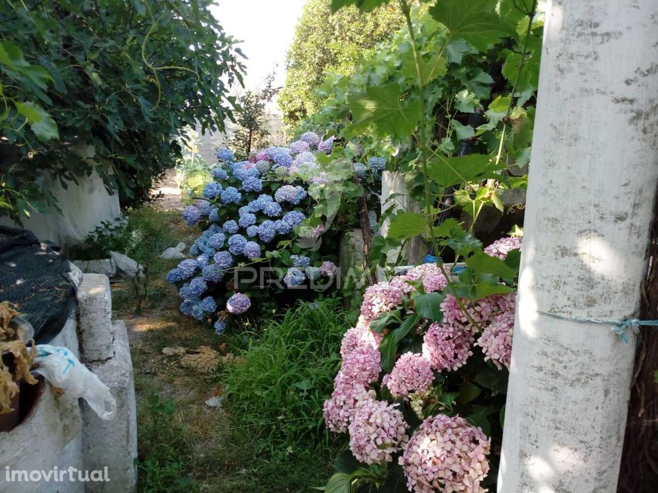 Moradias Bi-familiar com Terreno - Grande imagem: 5/34