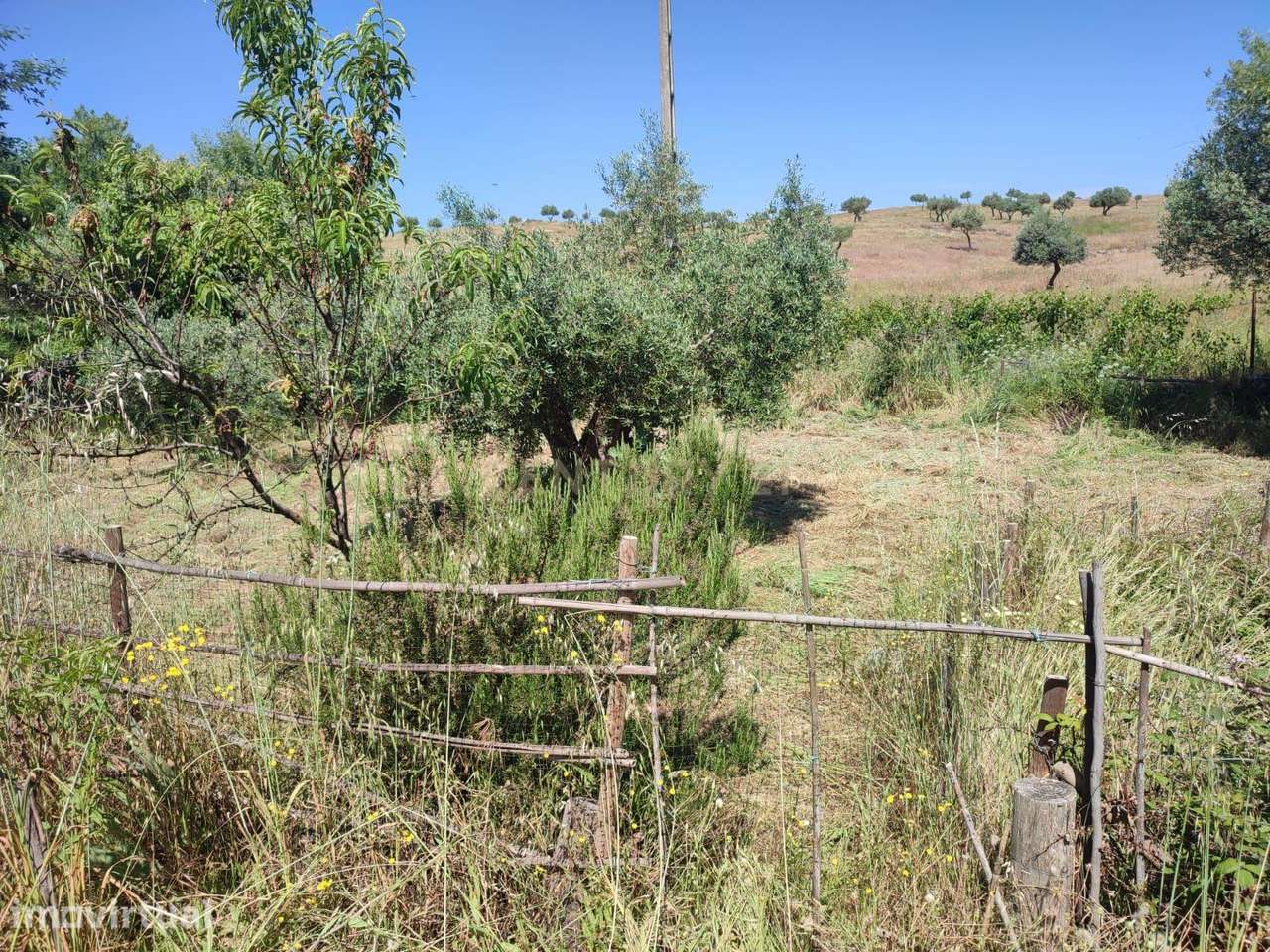 Terreno com água, Aldeia de Santa Margarida - Grande imagem: 2/8
