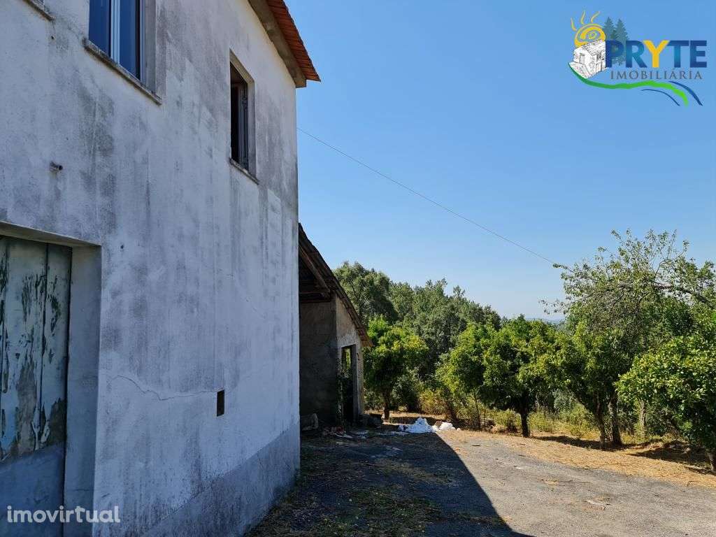 Quintinha com moradia T3 para recuperar, a 10 minutos da vila da Sertã - Grande imagem: 3/38