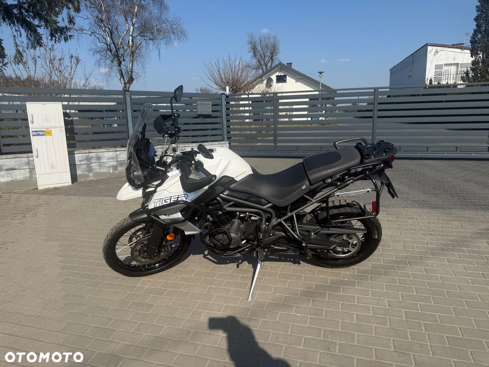 Triumph Tiger - 18