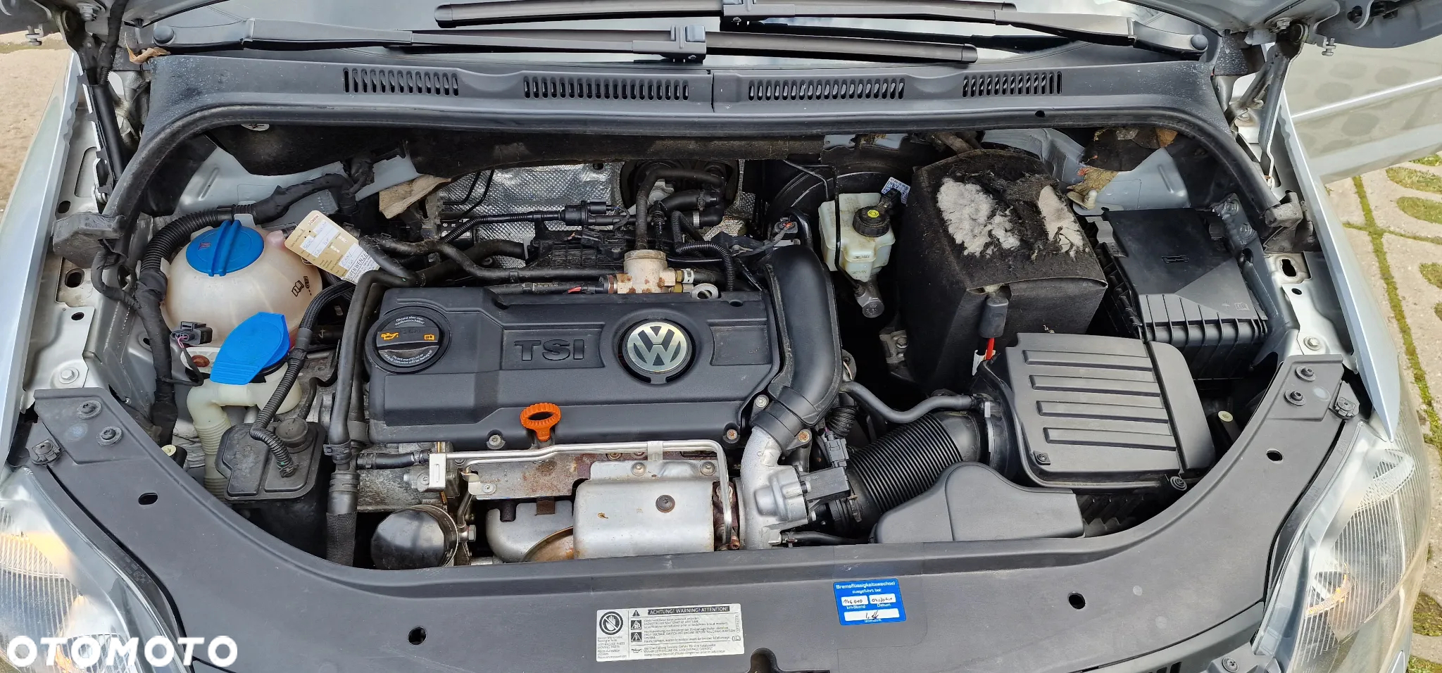 Volkswagen Golf Plus 1.4 TSI Highline - 31