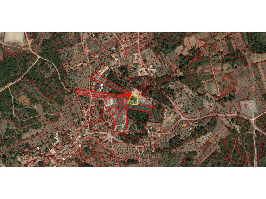 Lote de 6 terrenos rústicos na freguesia de Sabacheira, Tomar - Grande imagem: 4/7