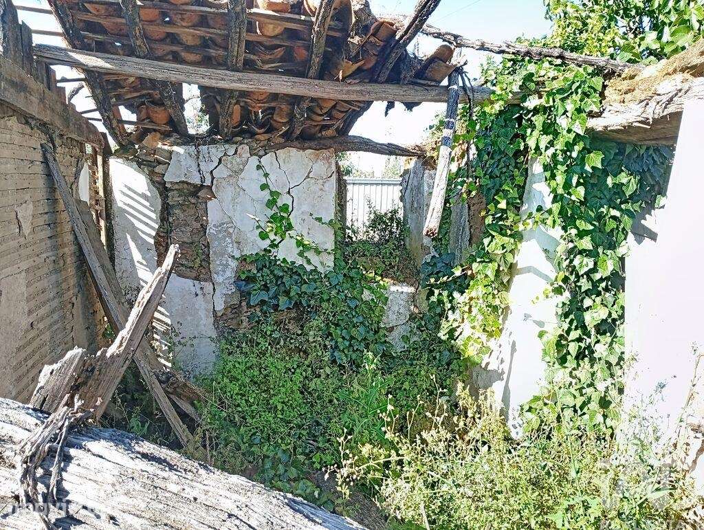 Moradia térrea em Ferreira do Zêzere - Grande imagem: 5/18