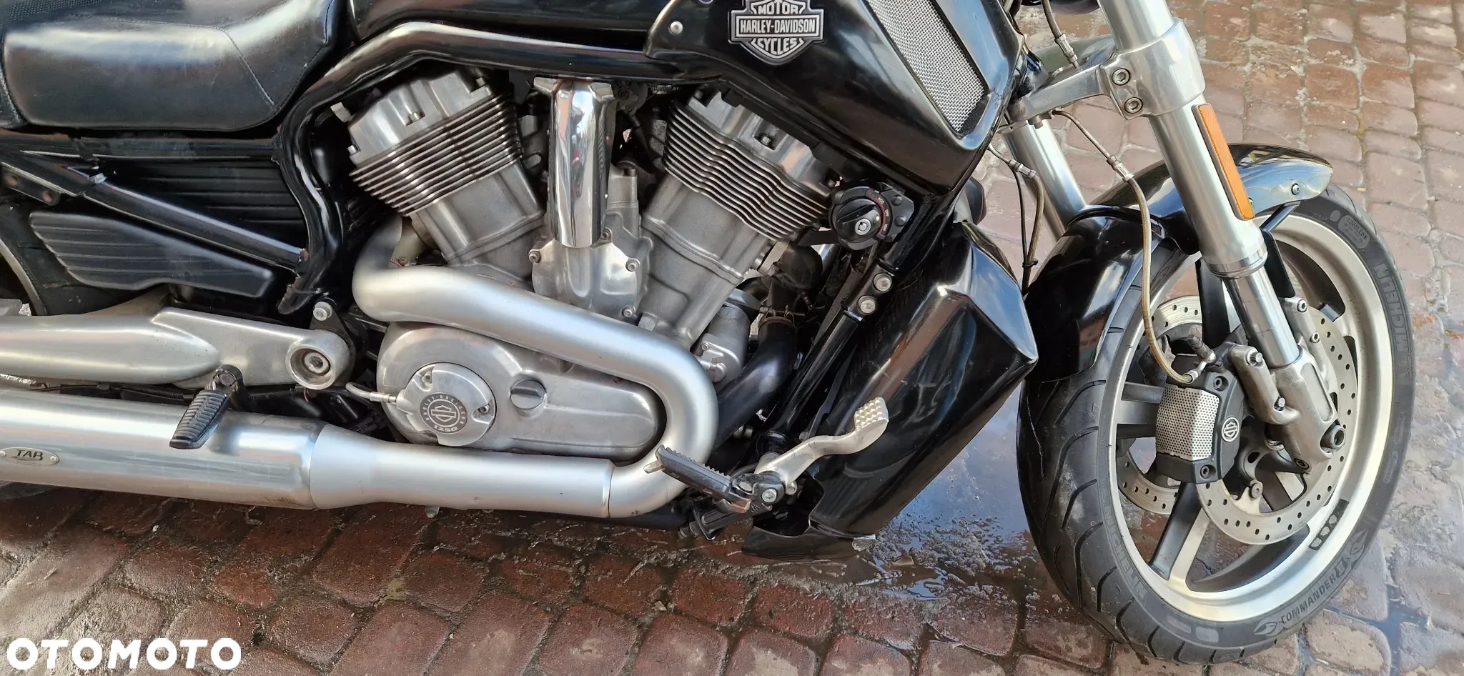 Harley-Davidson V-Rod Muscle - 20