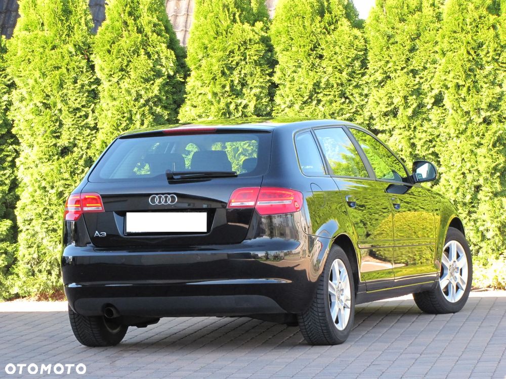 Audi A3 Sportback 1.6 Ambiente - 25