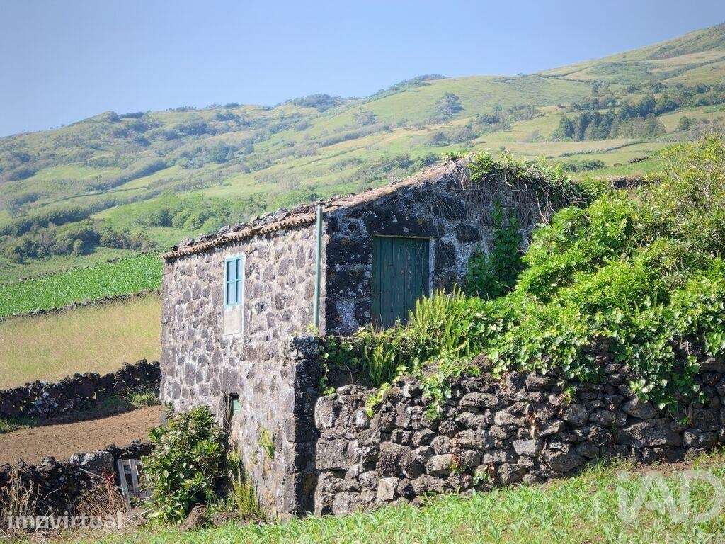 Terreno Agrícola em Lajes do Pico - Grande imagem: 5/21