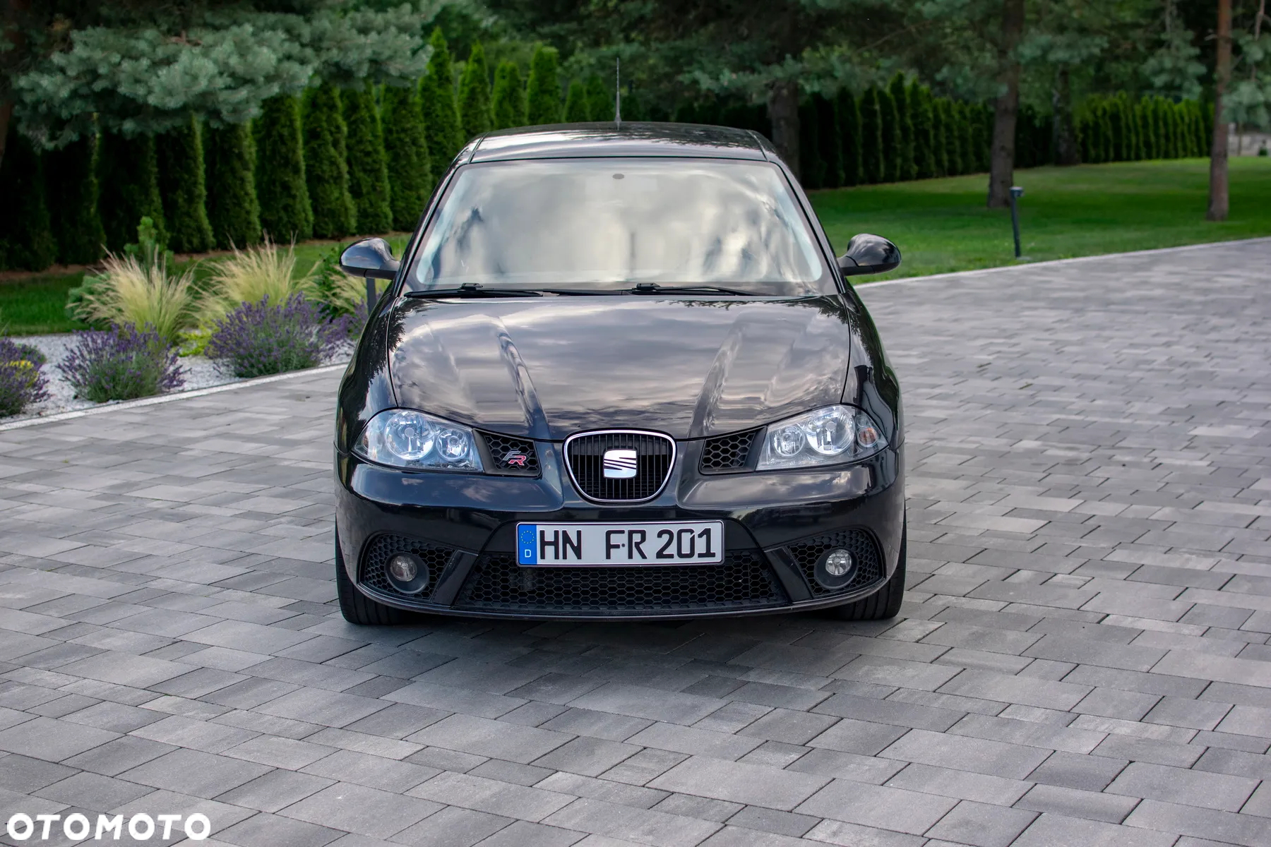 Seat Ibiza - 8
