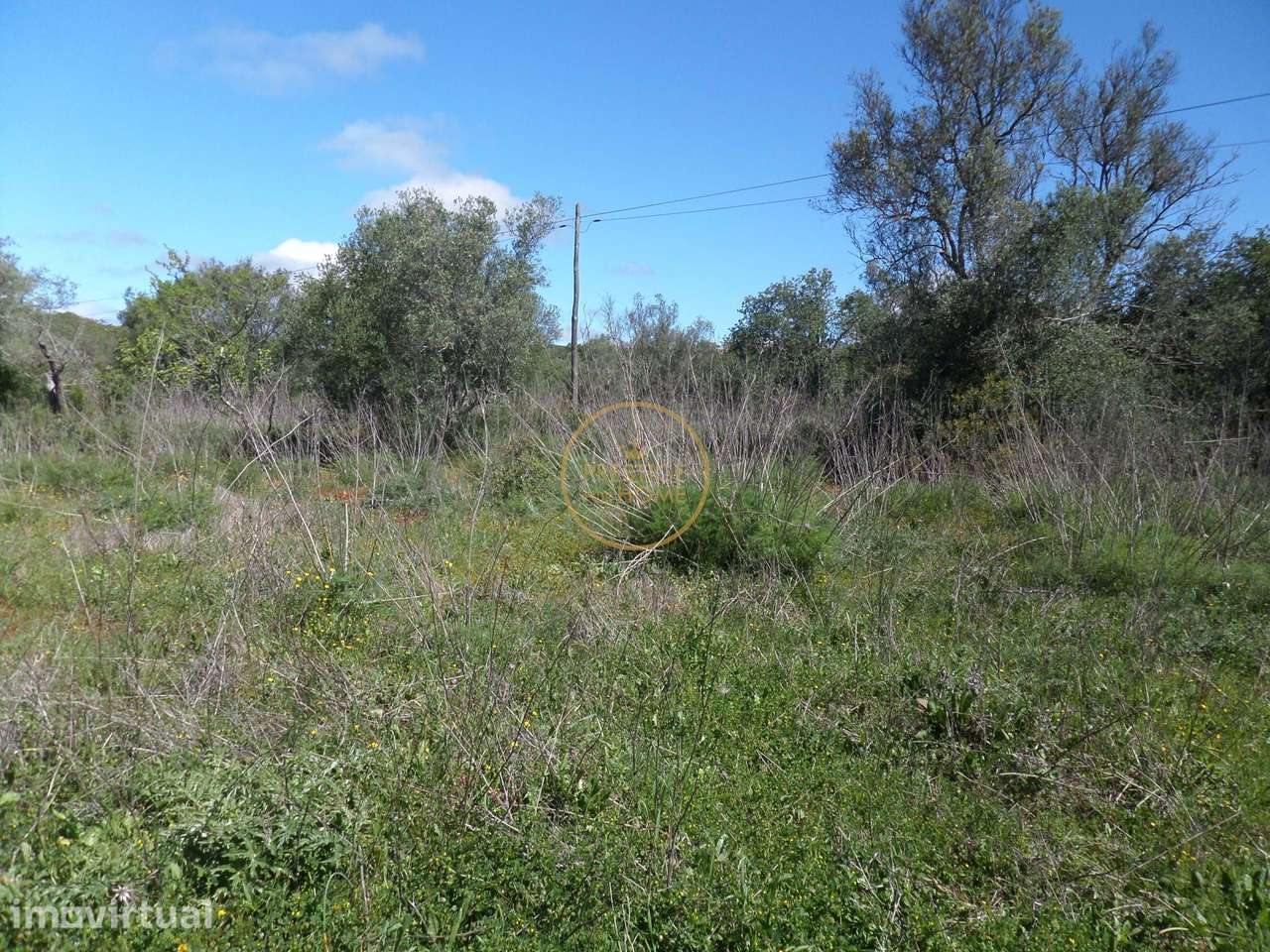 Terreno plano com a área de 13.900 m² à entrada de Loulé - Grande imagem: 5/14