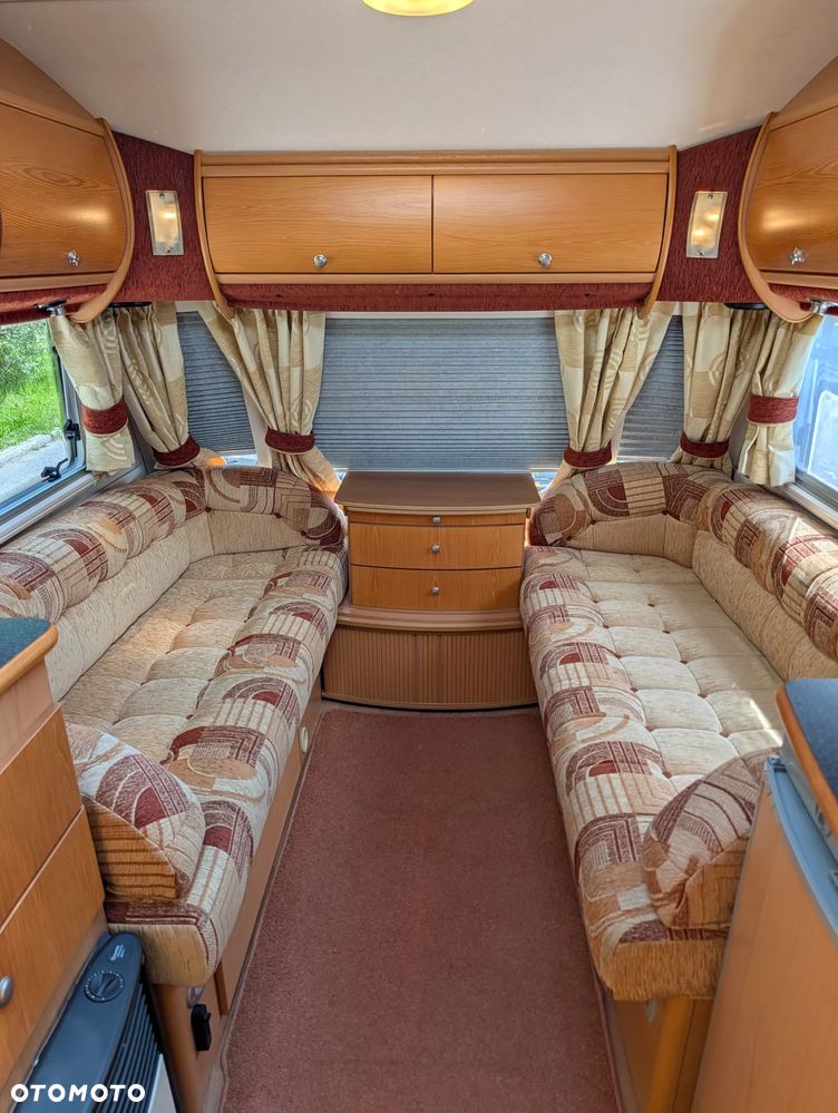 Avondale Golden Avocet - 5