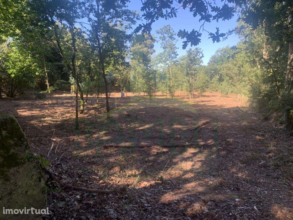 Terreno para construção - Grande imagem: 5/9