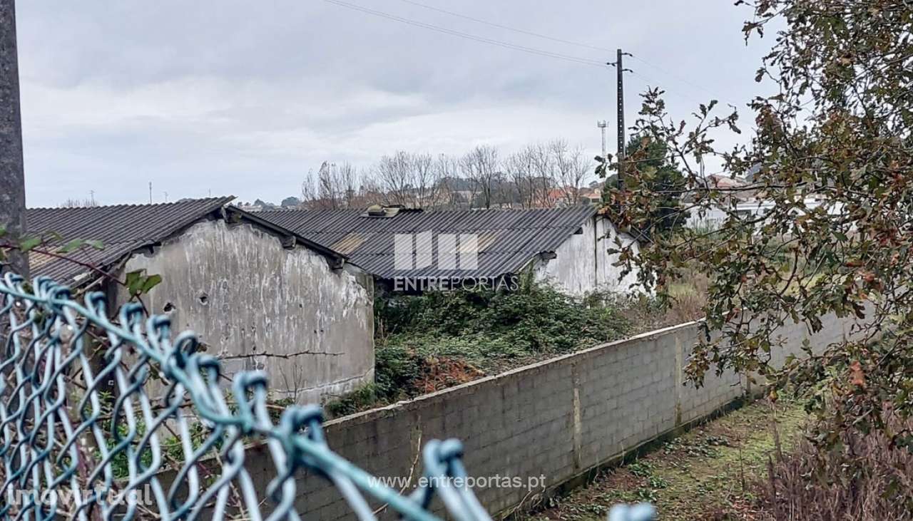 Venda de Terreno Agrícola (30.000 m²) com Armazém, Árvore, Vila do - Grande imagem: 4/12