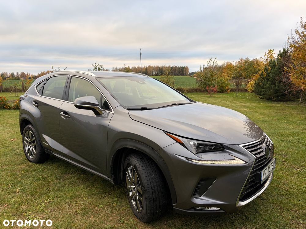 Lexus NX - 9