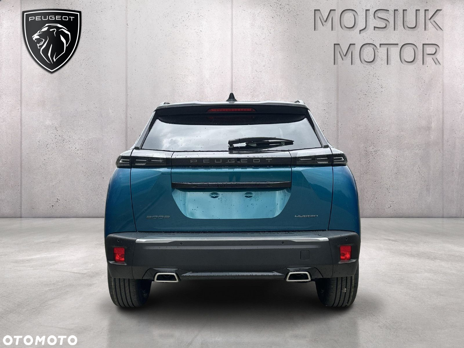 Peugeot 2008 - 4