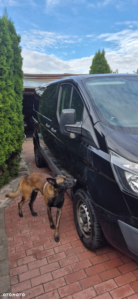 Ford TRANSIT - 4