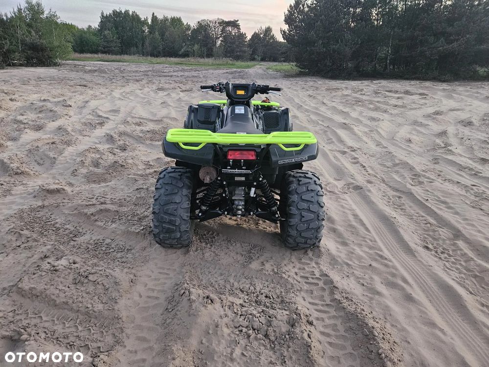 Kawasaki Brute Force - 10