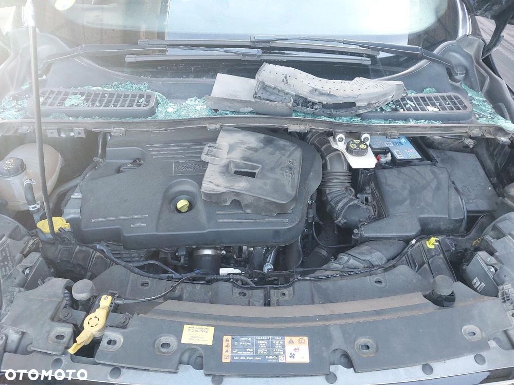 Ford Kuga 2.0 TDCi AWD ST-Line Black - 15