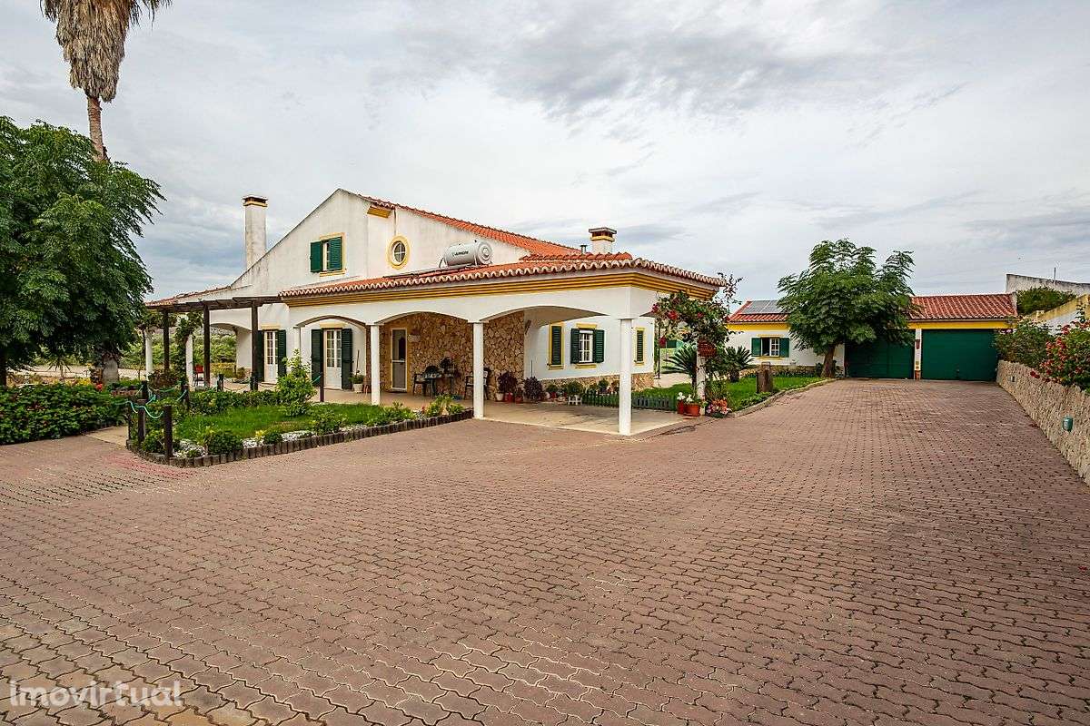 Quinta T5 para venda - Grande imagem: 4/39