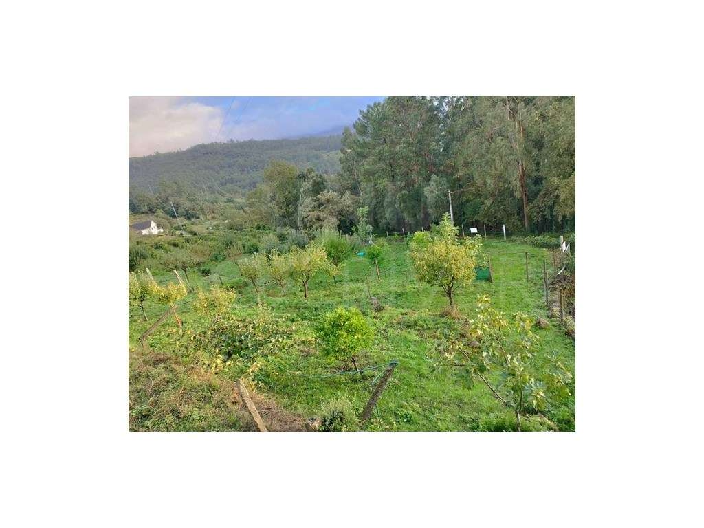 Terreno de Construção em Roussas, Melgaço - Grande imagem: 2/15