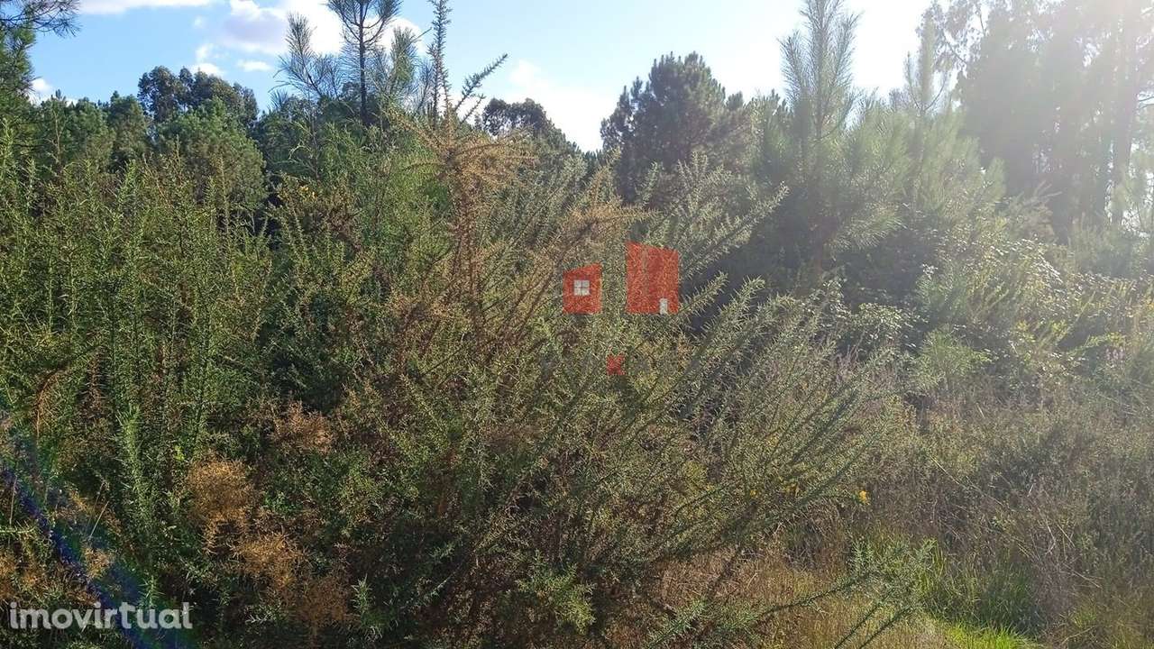 Terreno - Grande imagem: 2/2