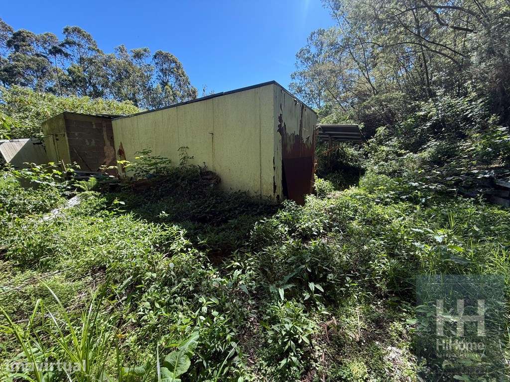 Terreno plano com 1.240 m² em São Jorge - Grande imagem: 5/9