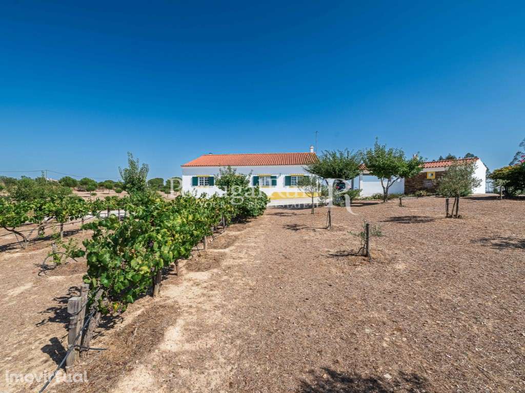 Monte Alentejano T4 com Terreno de 4,4 Hectares - Grande imagem: 5/48