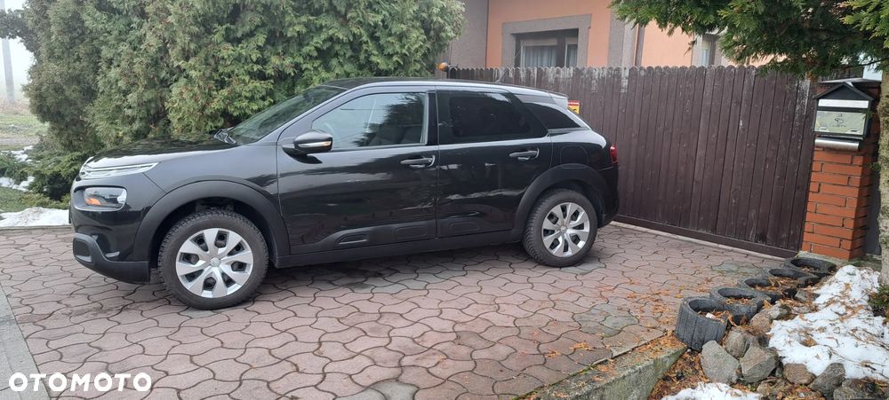 Citroën C4 Cactus - 19