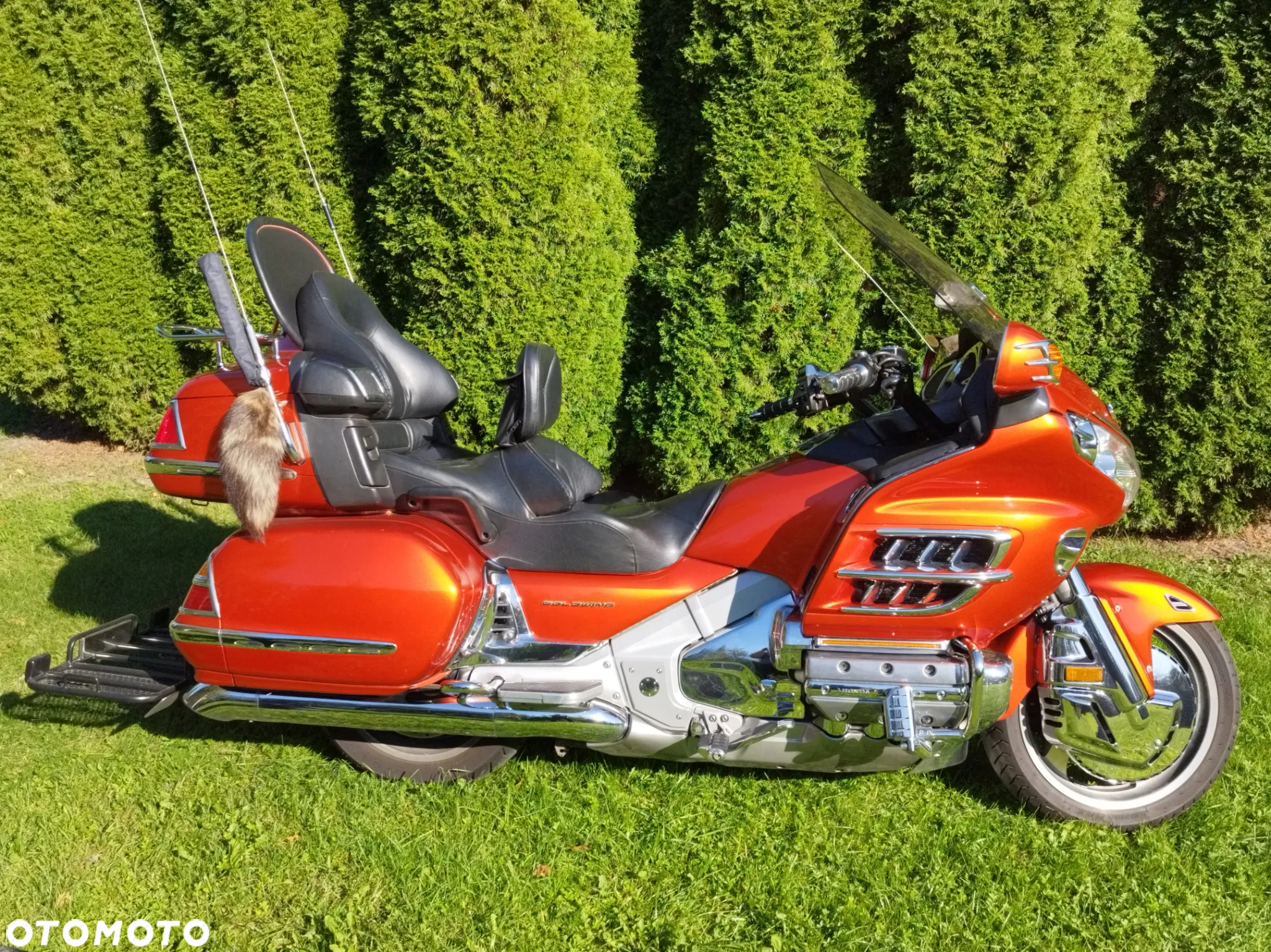 Honda GL - 2