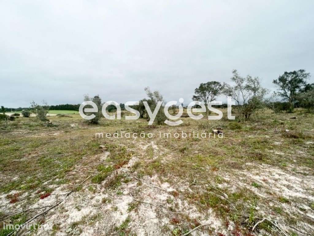 Terreno com 19.585 m2, localizado na Asseiceira, Poceirão - Grande imagem: 3/7