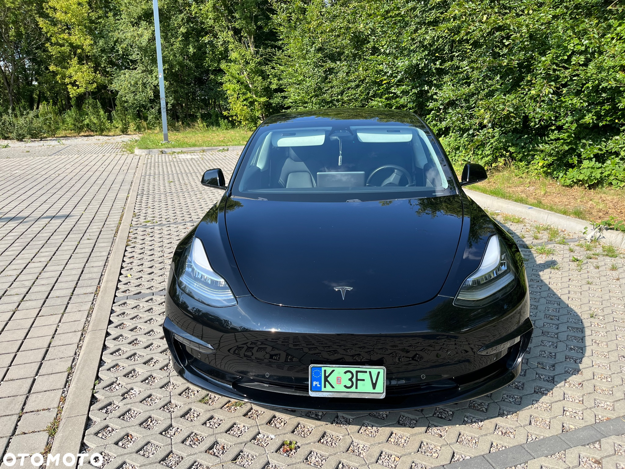 Tesla Model 3 Standard Reichweite Plus Hinterradantrieb - 6