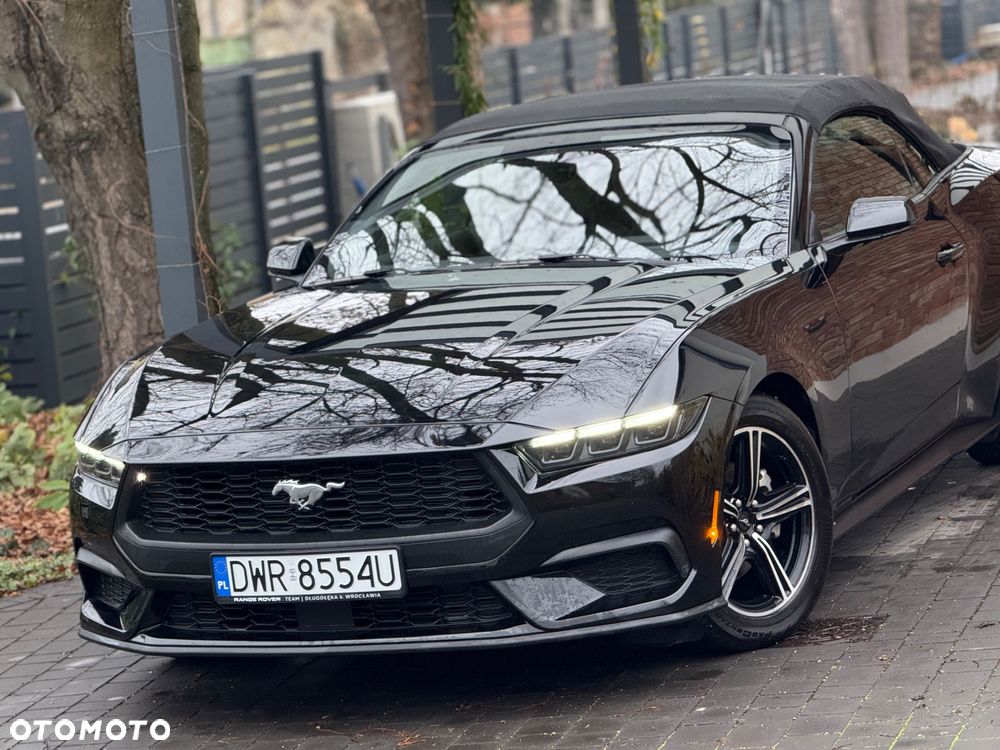 Ford Mustang Cabrio 2.3 Eco Boost - 15